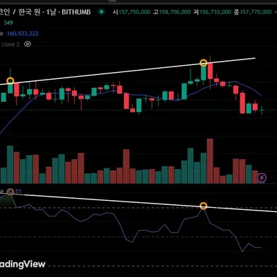 [30일 챌린지 13기 2주차] 다이버전스 체크