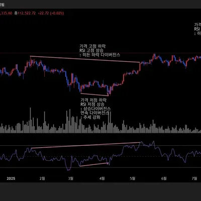 [30일 챌린지 13기 2주차] 다이버전스