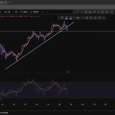 [30일 챌린지 38기 1주차] 지지 저항과 추세선
