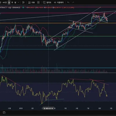 [30일 챌린지 13기 2주차] 다이버전스