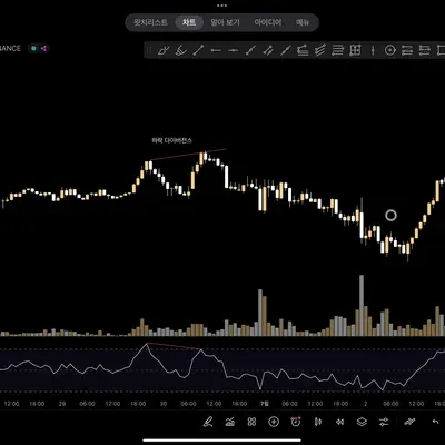 [30일 챌린지 37기 2주차] RSI지표 추가
