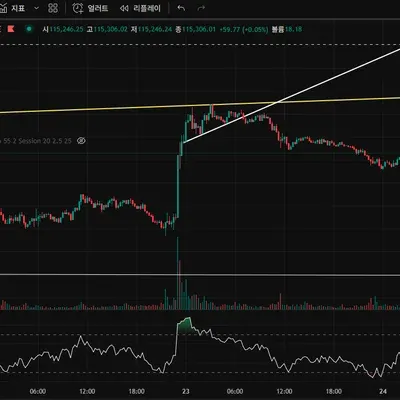 [30일 챌린지 37기 2주차] rsi 추가 미션