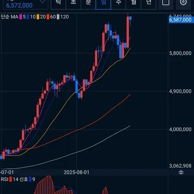 [30일 챌린지 13기 2주차] 다이버전스 최범길강사님