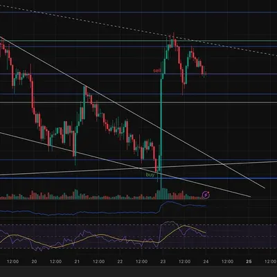 30일 챌린지 36기 4주차