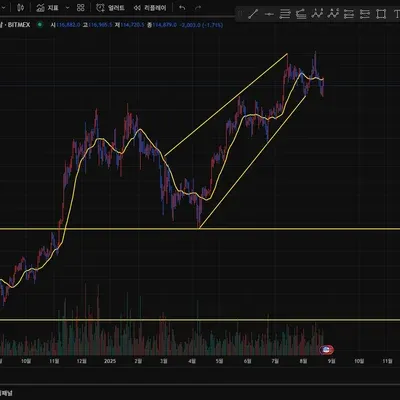 [30일 챌린지 38기 1주차] 지지 저항과 추세선 작도 실습
