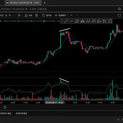 [30일 챌린지 13기 2주차] 다이버젼스