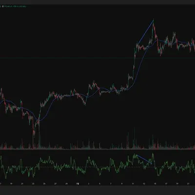 [30일 챌린지 13기 2주차] 다이버 전스 