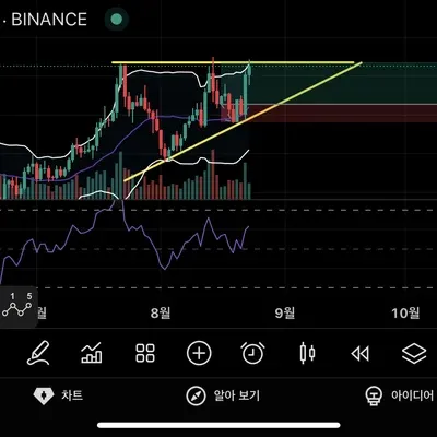 [30일 챌린지 12기 4주차]