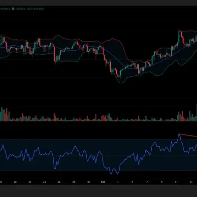 [30일 챌린지 13기 2주차] 마이클권