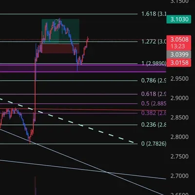 100회 트레이딩 31/100