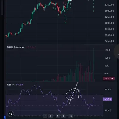 30일 챌린지 13기, 다이저번스