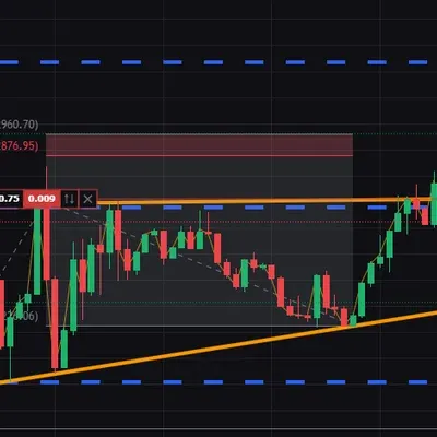 [30일 챌린지 36기 4주차]