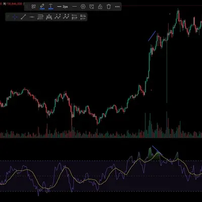 [30일 챌린지 13기 2주차] 다이버전스