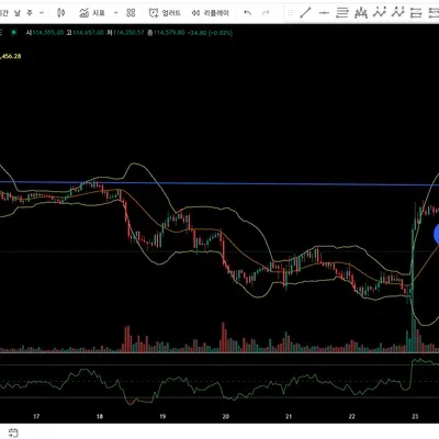 [30일 챌린지 12기 4주차] 매매일지