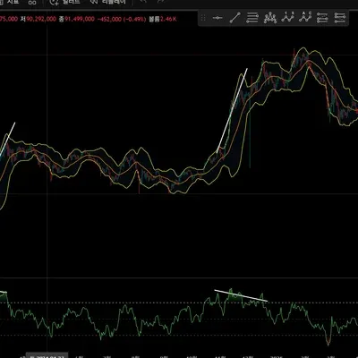 [30일 챌린지13기2주차]다이버전스