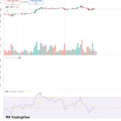 30일 챌린지 37기 2주차 
