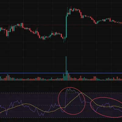 [30일 챌린지 37기 2주차] RSI 움직임 확인