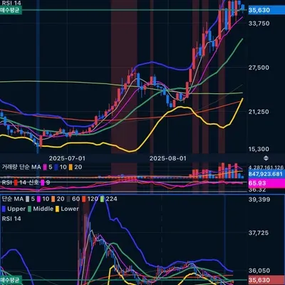 [30일 챌린지 36기 4주차]