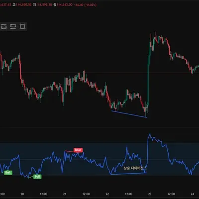 [30일 챌린지 13기 2주차] RSI 다이버전스