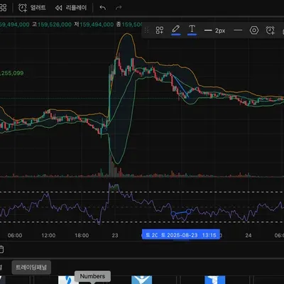 [30일 챌린지 13기 2주차] RSI 다이버전스