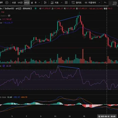 [30일 챌린지 13기 2주차]다이버전스