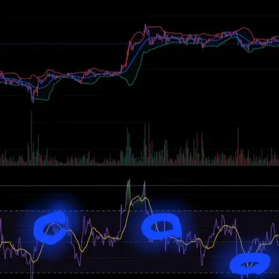 [30일 챌린지 ]13기 2주차 챌린지 