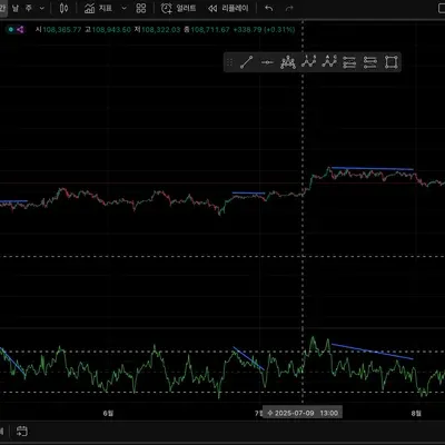 [30일 챌린지 13기 2주차] 다이버전스