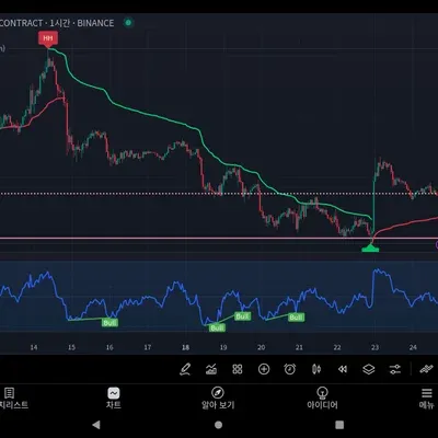 [30일 챌린지 13기 2주차]다이버전스