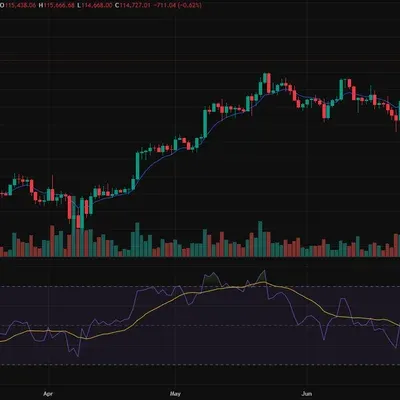[30일 챌린지 14기 1주차] Hcs 차트 설정
