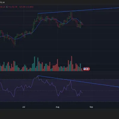 [30일 챌린지 13기 2주차] RSI 다이버전스 캡쳐