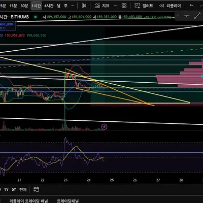 [30일 챌린지 12기 4주차] 20250824 비트코인 매매일지(빗썸)