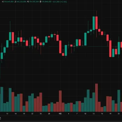 [30일 챌린지 14기 1주차] 트레이딩뷰 셋업 