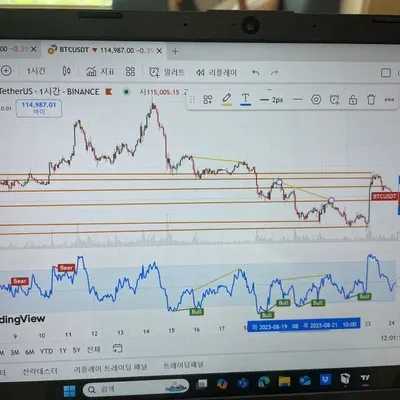 13기 RSI지표 다이버전스 노란색줄표시