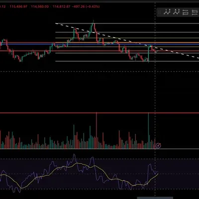 [30일 챌린지 37기 2주차] rsi 추가 미션