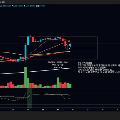 8월 3번째매매일지!