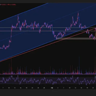 100회 트레이딩 챌린지 (7/100)