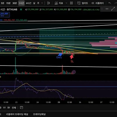 [30일 챌린지 12기 4주차] 20250825 비트코인 매매일지(빗썸)