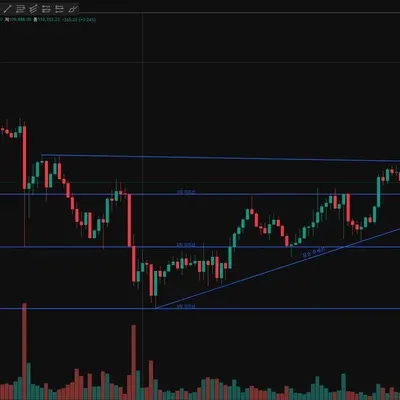 추세선과 지지선