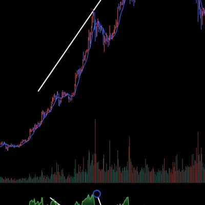 [30일 챌린지 14기] 11일차 다이버전스 구간 캡처 미션