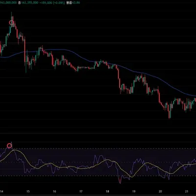 2주차 다이버전스 구간 체크