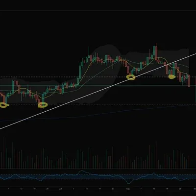 [30일 챌린지 37기 3주차]