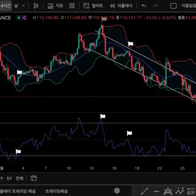 [30일 챌린지 14기 2주차] 다이버전스 찾아보기