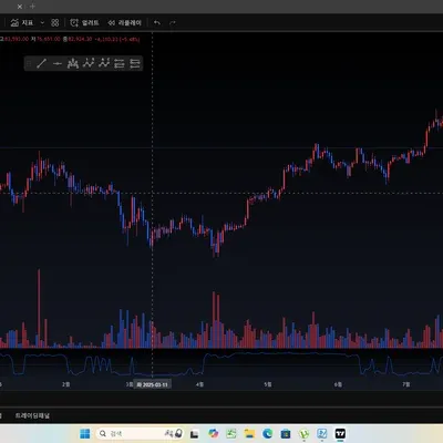 [30일 챌린지 15기 1주차] 나만의 트레이딩 뷰 세팅
