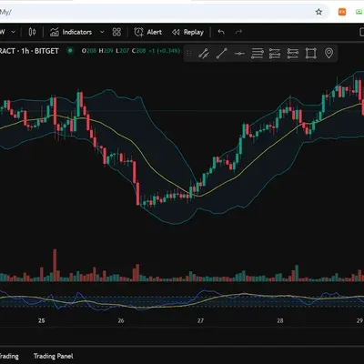 [30일 챌린지 15기 1주차]나만의 트레이딩뷰 셋업