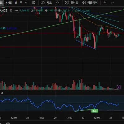 11일차 미션 다이버전스 