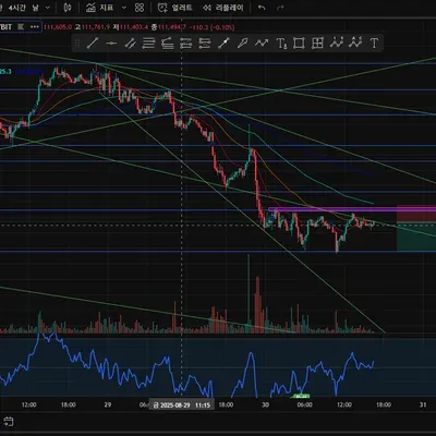 [30일챌린지 37기 3주차]