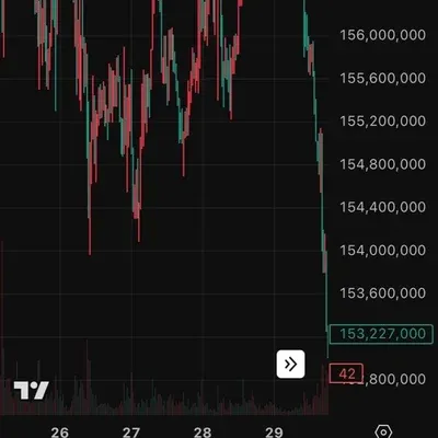 30일 챌린지 38기 2주차