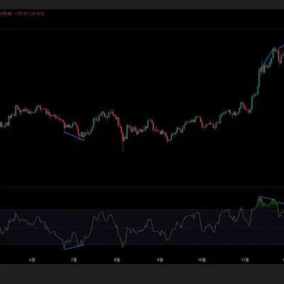 [30일 챌린지 14기 2주차] 다이버전스 찾기