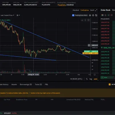 [30일 챌린지 39기 1주차] 지지,저항