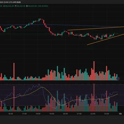 [30일 챌린지 37기 3주차]